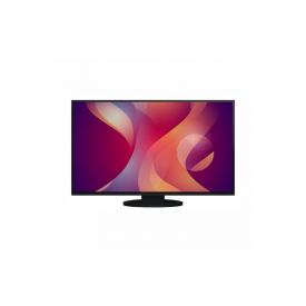 MONITOR MEDICINA NUCLEAR EIZO EV2495