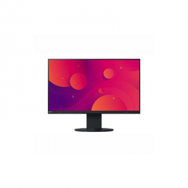 MONITOR MEDICINA NUCLEAR EIZO EV2460