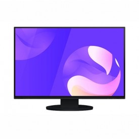 MONITOR APOYO CLÍNICO EIZO EV2495 FLEXSCAN