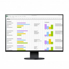 MONITOR APOYO CLÍNICO EIZO EV2456 FLEXSCAN